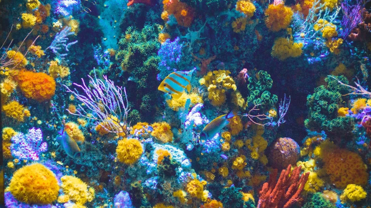 Deep-sea coral forests, like this vibrant example, are incredibly fragile ecosystems. Some species g