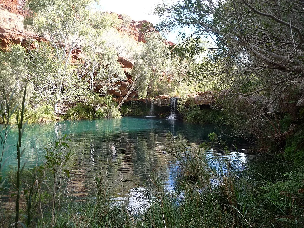Les magnifiques gorges rouge rouille et les piscines d'émeraude du parc national de Karijini en Australie-Occidentale, présentant d'anciennes formations géologiques.