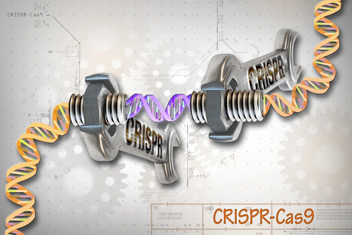 CRISPR-Cas9 è uno strumento rivoluzionario di editing genetico che consente agli scienziati di modificare con precisione le sequenze di DNA.