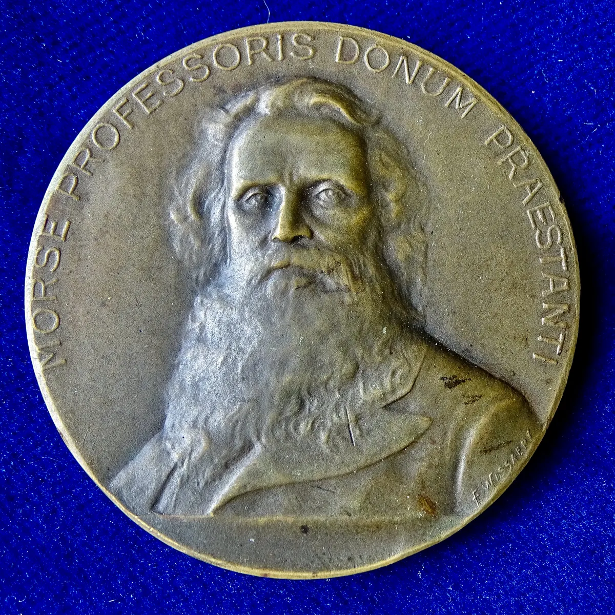 Prima della sua fama telegrafica, Samuel F. B. Morse era un rispettato ritrattista, avendo persino studiato a Londra e dipinto Lafayette. Un fatto curioso è che inizialmente faticò ad ottenere finanziamenti per il suo telegrafo, dimostrandolo al Congresso per anni prima di ricevere una sovvenzione. Il suo background artistico probabilmente influenzò il suo approccio meticoloso alla progettazione del telegrafo e l'eleganza del Codice Morse.