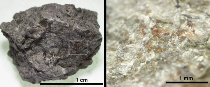 In 1996, NASA announced that this potato-sized meteorite, ALH84001, found in Antarctica, contained e