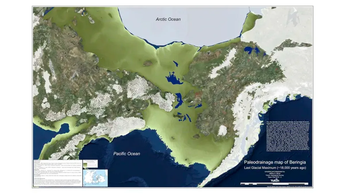 During the Last Glacial Maximum, lower sea levels exposed a vast land bridge known as Beringia, conn